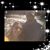 Dannielle Plantinga's profile image