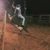 Adryel Silva Campos's profile image