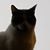 Amy Polk's profile image