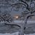 Dawn Joy Fraley's profile image