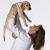 Marcy Holquist's profile image