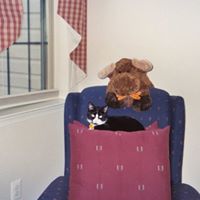 Cathy Rounds's profile image