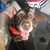 Kris Tebbe's profile image