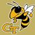 Greg Hutcheson's profile image