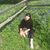 Jenny Lou Park's profile image