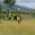 Peggy Thelen's profile image