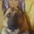 Luis Fernando Orbuj's profile image