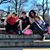 Nikole Westphal Juliano's profile image