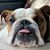Troy Huch's profile image
