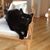 Linda Young Landsberg's profile image