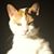 Barbara Fields-McAfee's profile image