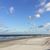 Claudia Brashear's profile image