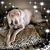 Patricia Connelly Gruska's profile image