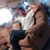 Ubaldo Solis's profile image