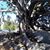 Martha Ahumada's profile image