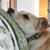 Bridget Kathleen's profile image
