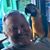 John Pollard's profile image