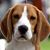 Carol Rutherford's profile image