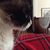 Linda Speckman Oliver's profile image