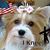 Sheri Blanchette Burgess's profile image