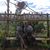 Melvin Poh's profile image