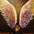 Joie Cerda's profile image