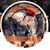 Renee Raffaela Minutola's profile image
