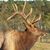 Jesse Geiman's profile image