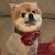 Wanda Wilson Webster's profile image