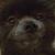 Mark Castronova's profile image