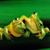 Gail Anne's profile image