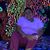 Daisy Oliva's profile image