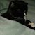 Nancy Stinson's profile image