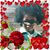 Cashmere Psvercova II's profile image
