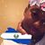 Bria Browne's profile image