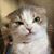 Sandra Boyd's profile image