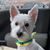 Brenda Copes Sullivan's profile image