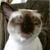 Heathyr Anne Zarley's profile image