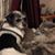 Kim Molidor Bradfield's profile image