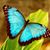 Lori Motzer's profile image