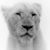Soraya Justice's profile image