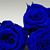 Joi Crenshaw's profile image