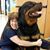 Susan Pollitt's profile image