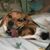 Zoe Wagner's profile image