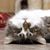 Bonnie Feather's profile image