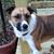 Mandy Lichty's profile image