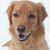 Randy Schmitt's profile image