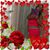 Kimberly Miller's profile image