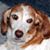 Pam Knapp's profile image