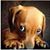 Sandra Labrecque's profile image